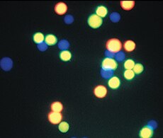 香豆素及香豆素衍生物探針